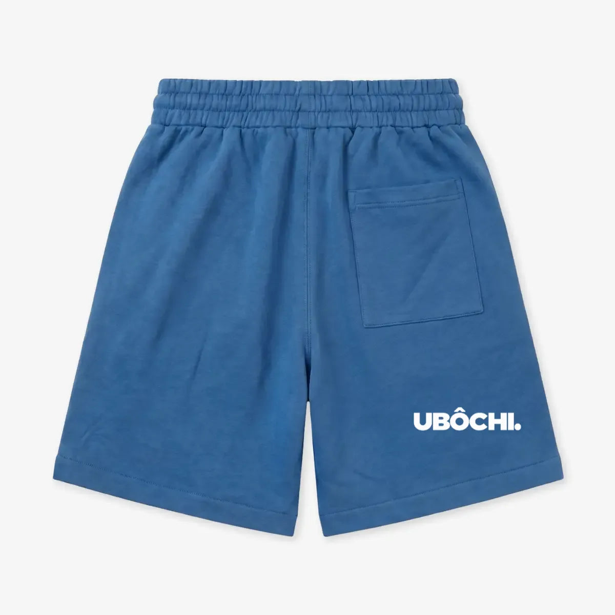 back_Blue_1791245113604.webp